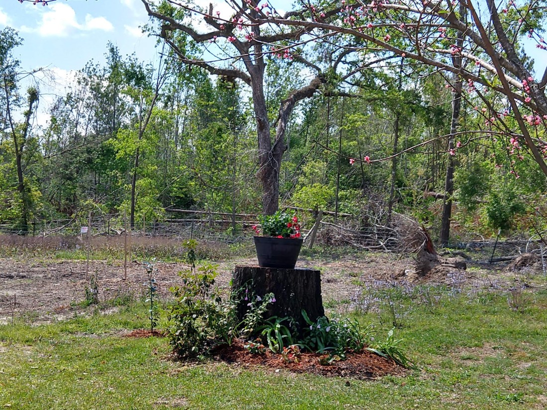 IMG_20190402_114908687_HDR