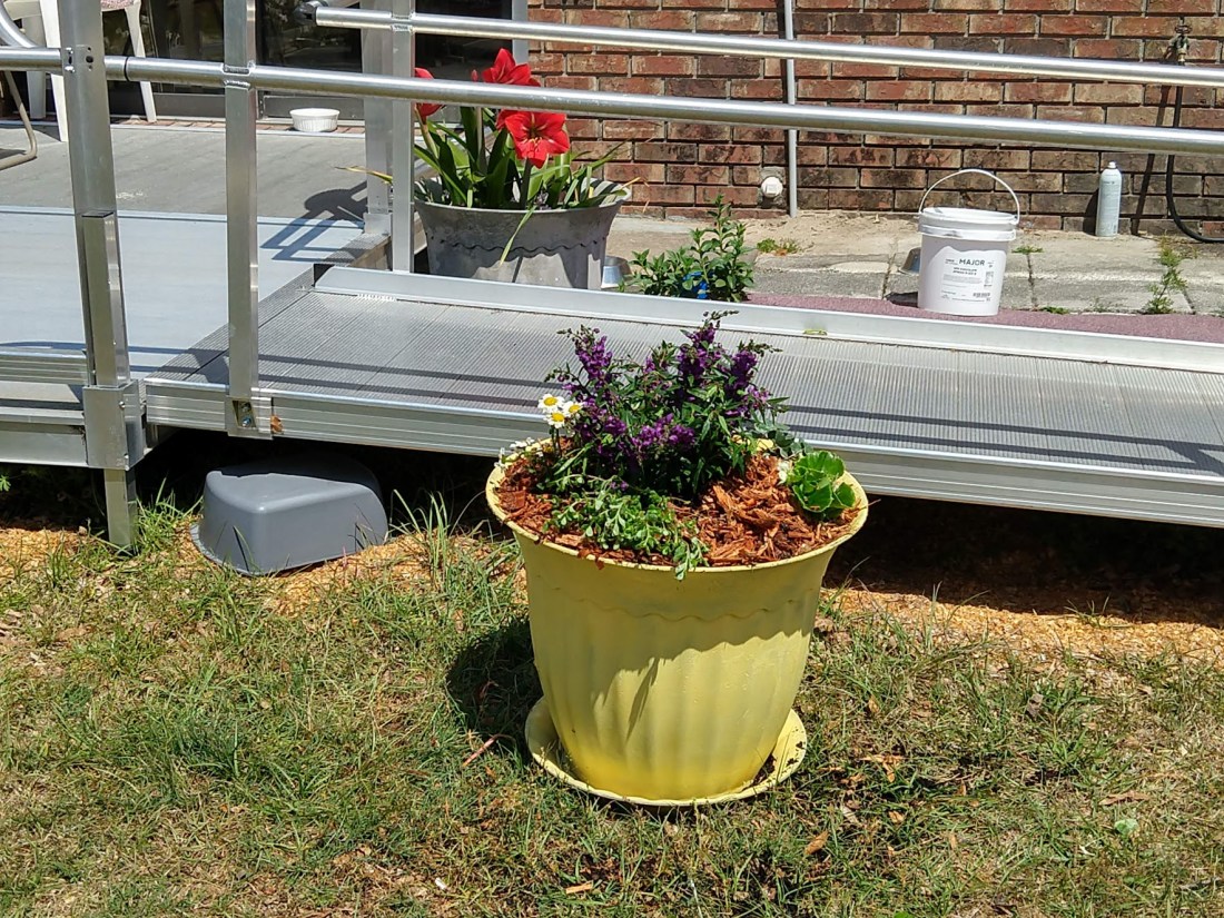 IMG_20190402_114925407_HDR