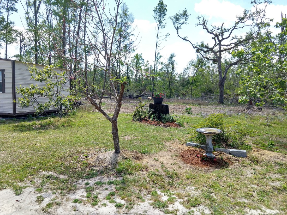 IMG_20190402_115302325_HDR